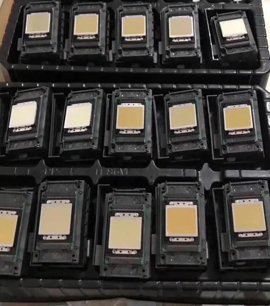 Original Xp600 Head Printhead for Epson Best Price New